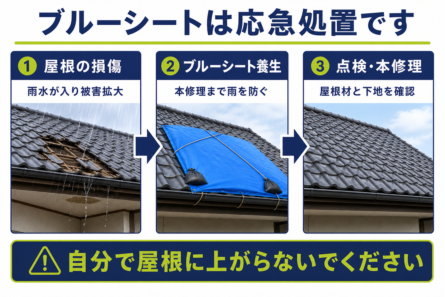 屋根の損傷、ブルーシート養生、点検と本修理の流れを示した図解